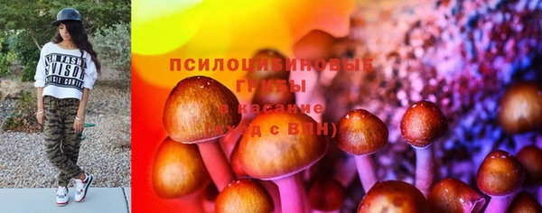 прущая мука Алексин