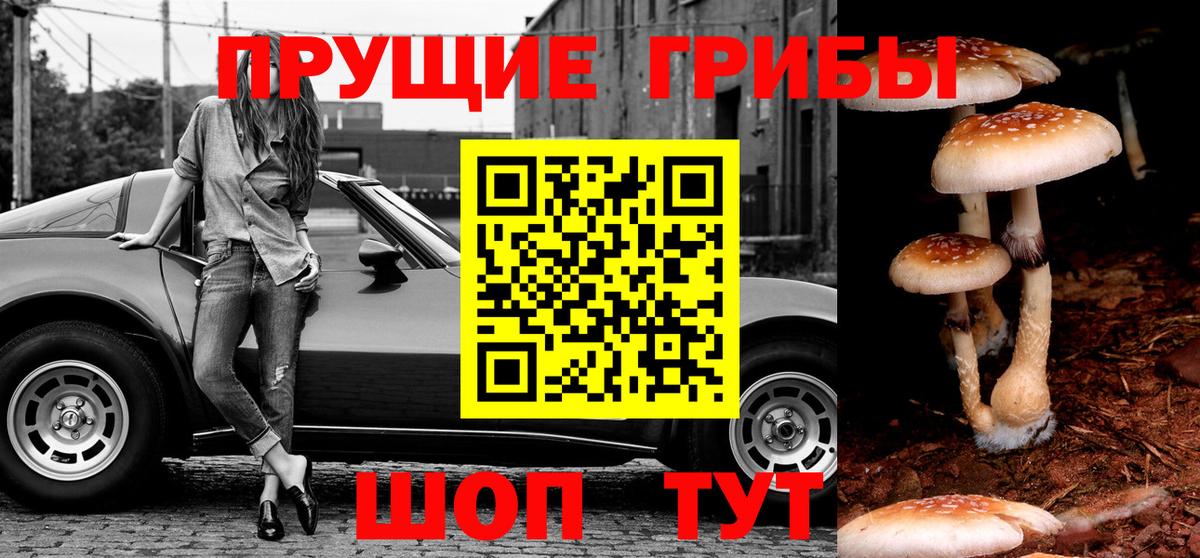 Галлюциногенные грибы прущие грибы  Вход с VPN  Псилоцибиновые грибы прущие грибы  Соликамск 