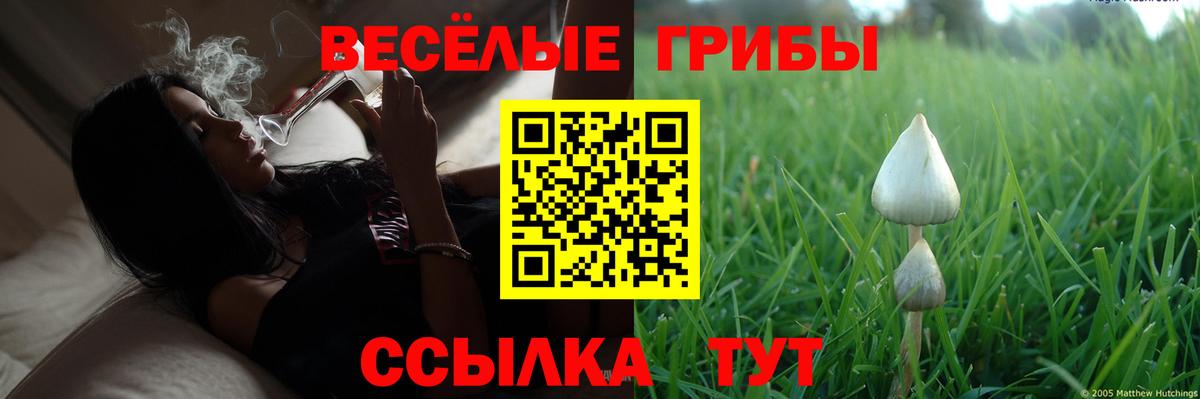 Псилоцибиновые грибы Psilocybine cubensis Соликамск